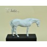 Ac04 Horse "straight head"