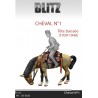 Cheval N°1