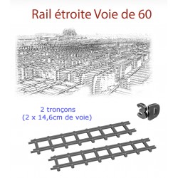 Rail Voie de 60