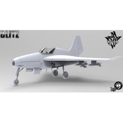 Henschell Hs P135 "zerstörer" 1