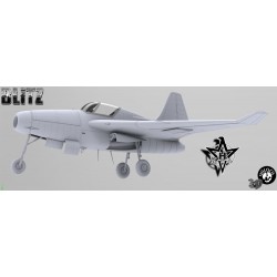 Henschell Hs P135 "zerstörer" 2